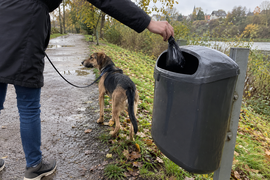 Verknoteter Hundekotbeutel wird in einen Mülleimer am Parkweg geworfen, Hund wartet an der Leine (KI-generiertes Bild)