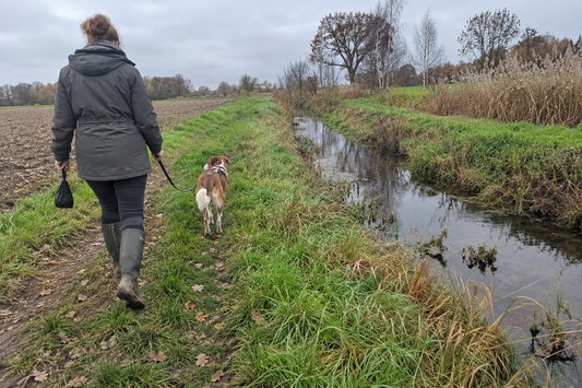 Spaziergang mit Hund an einem Bach am Feldweg, verknoteter Hundekotbeutel in der Hand (KI-generiertes Bild)