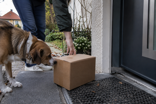 Hund schnüffelt an einem Versandkarton vor der Haustür (KI-generiertes Bild)
