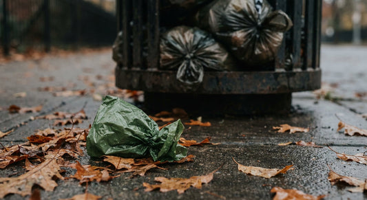 Overflowing bin filled with plastic dog waste bags causing environmental plastic pollution concern