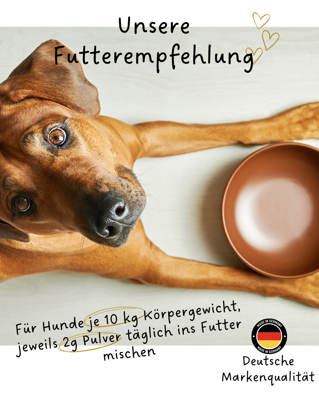 Riolino FreshBite – Natürliche Zahnpflege für Hunde