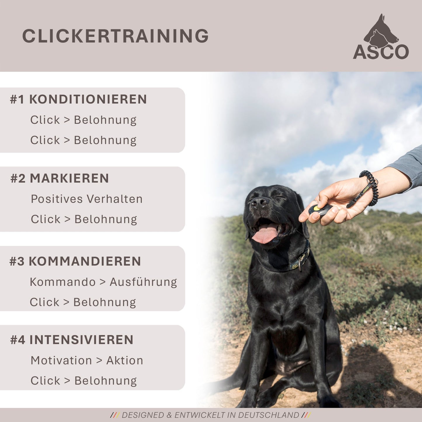 ASCO Finger Clicker – Clickertraining Premium Klicker für Hunde, Katzen, Pferde