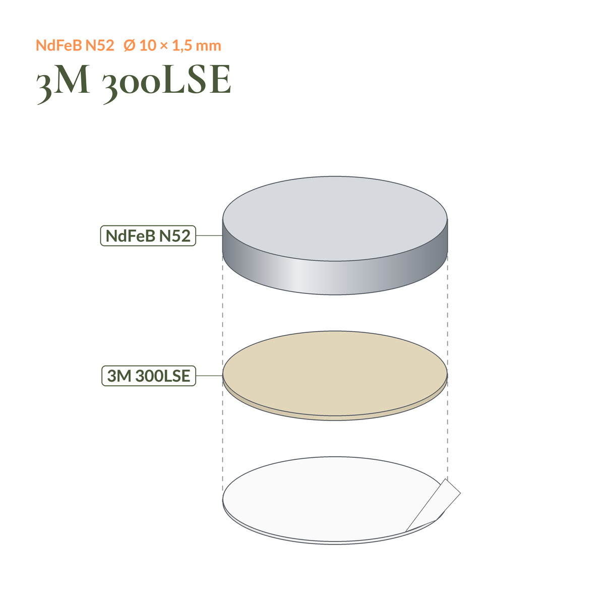 Aufbau Neodym-Scheibenmagnet selbstklebend N52 Ø10 × 1,5 mm: Magnet, Klebeschicht 3M 300LSE und Schutzfolie