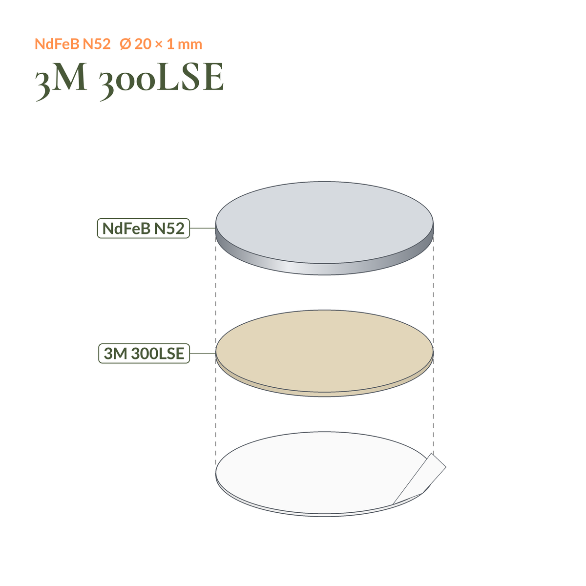 Aufbau Neodym-Scheibenmagnet selbstklebend N52 Ø20 × 1 mm: Magnet, Klebeschicht 3M 300LSE und Schutzfolie