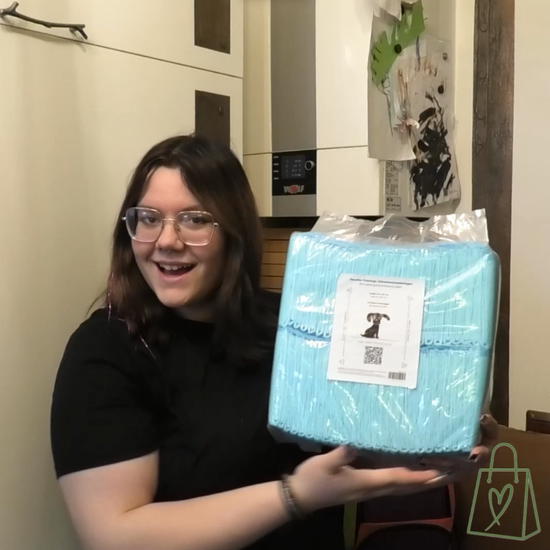 Anwendervideo zu Hundepipiunterlagen von Trendisland